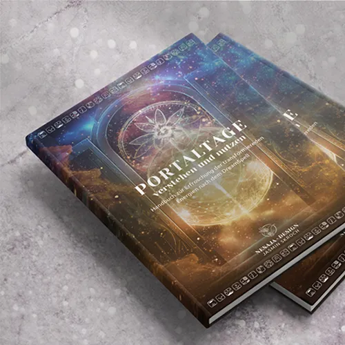 Buchcover Portaltage verstehen und nutzen