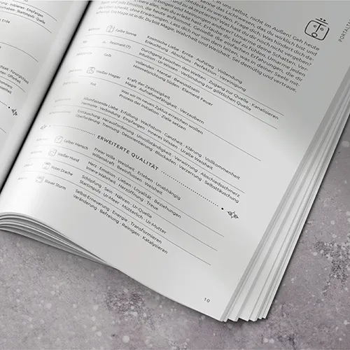 Aufgeklapptes Portaltage-Handbuch