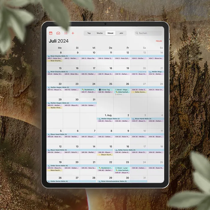 iPad ZeitBegleiter digital Kalender